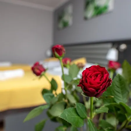 Apartamenty Brzezinski Września Zewnętrze zdjęcie
